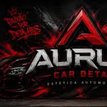 Logo Aurum Car Detail